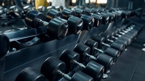 Row of dumbbells in gym closeup, nobody. Equipment for fitness exercises, heavy weight for sport training